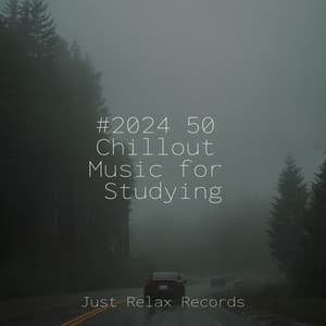 #2024 50 Chillout Music for Studying - Nature Sound Collection