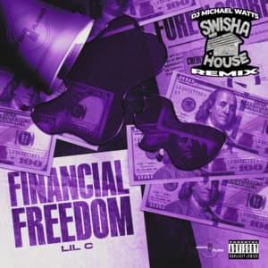 Financial Freedom - Lil C