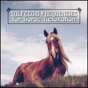 Sacred Pure Energy Energy Fields for Horse Repose - Asha Age