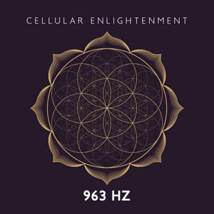 Cellular Enlightenment: Frequency of Gods - Nimah Chantis