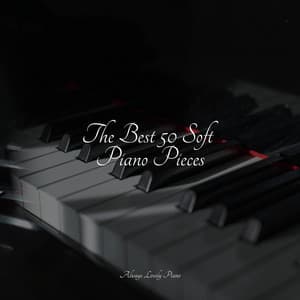 #2022 50 Songs for Yoga - Calming Baby Sleep Music Club