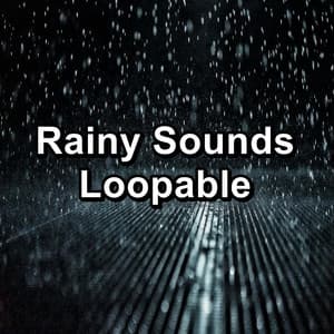 Rainy Sounds Loopable - Nature Sounds Factory STHLM