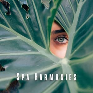 Spa Harmonies: Blissful Nature and Relaxing Sounds - 4D Nature Recordings