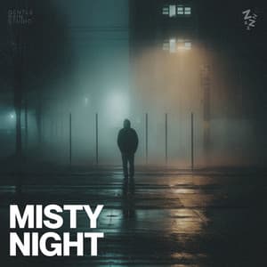 Misty Night - Naturaleza Sonidos