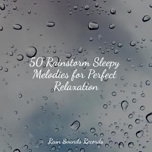 50 Rainstorm Sleepy Melodies for Perfect Relaxation - Rain Sounds & White Noise