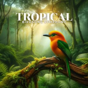 Tropical Birdsong Symphony - Nature Meditation Academy