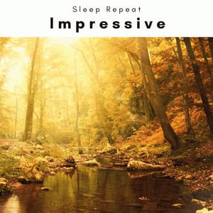 2 Impressive - Sleep Repeat