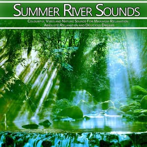 Summer River Sounds: Colourful Vibes and Nature Sounds For Maximum Relaxation, Absolute Relaxation and Delicious Dreams - Nature Sounds Academy