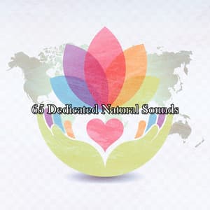 65 Dedicated Natural Sounds - Pure Massage Music