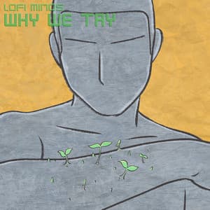 Why We Try - Lofi Minds
