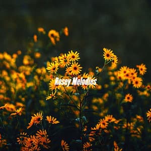 Rosey Melodies - Boutique Hotel Music