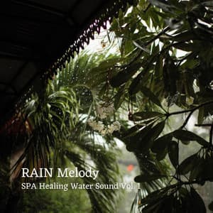 RAIN Melody: SPA Healing Water Sound Vol. 1 - Nature Radio 1