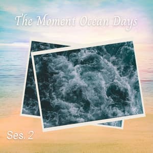 The Moment Ocean Days Ses. 2 - Ocean Sounds FX