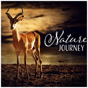 Nature Journey - Deep Sleep, Meditation, Stress Relief, Spiritual Relaxing Beautiful New Age Music - Nature Collection