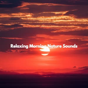 Relaxing Morning Nature Sounds - Night Time Jazz Moods