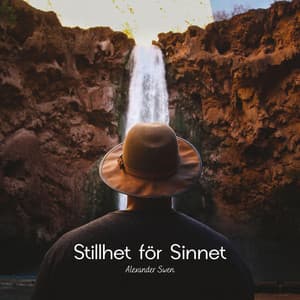 Stillhet för Sinnet - Alexander Swen