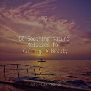 50 Soothing Nature Melodies for Calming A Beauty - Sonidos de la Naturaleza Relajacion