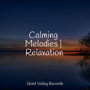 Calming Melodies | Relaxation - Nature Music Pregnancy Academy
