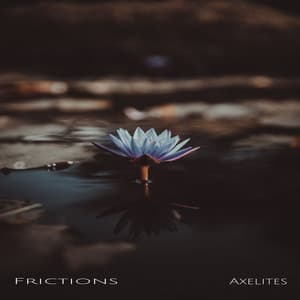Frictions - Axelites