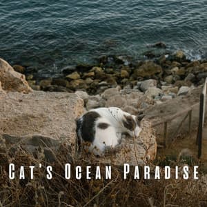 Cat's Ocean Paradise: Whispers of Insects and Chill Music for Soothing - Waves of Atlantic