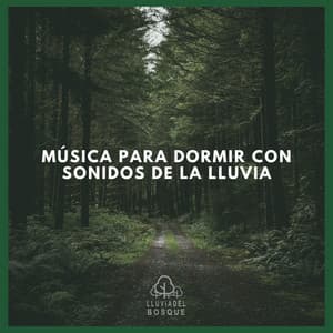 Música Para Dormir con Sonidos de la Lluvia - Lluvia Del Bosque