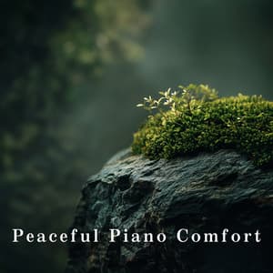 Peaceful Piano Comfort - Relax α Wave