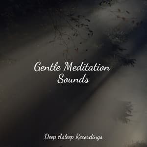 Gentle Meditation Sounds - Soothing White Noise for Infant Sleeping and Massage