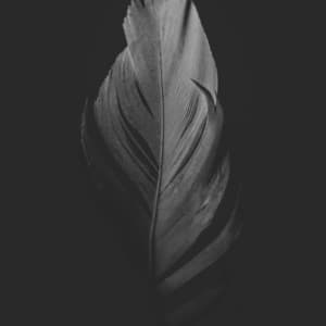 01 Noise Machine: Sleep Symphony - White Noise Therapy