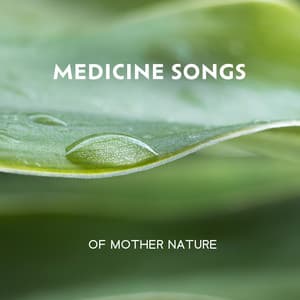 Medicine Songs of Mother Nature: Peaceful Nature Oasis, Gentle Music for Relaxation and Meditation - Mothers Nature Music Academy