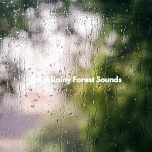 Quiet Rainy Forest Sounds - Happy Instrumental Music