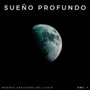 Sueño Profundo: Noches Pacíficas De Lluvia Vol. 1 - Sonido de lluvia para dormir tranquilo
