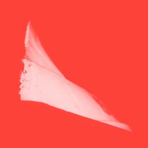 G2,44+/X2 - Phill Niblock