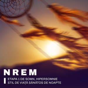 NREM Etapa 1 de Somn, Hipersomnie, Stil de Viață Sănătos de Noapte - Deep Sleep Maestro Sounds