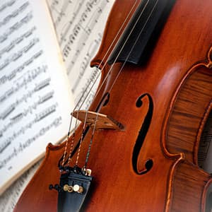 Comforting Orchestra Sounds for Nighttime Rest - Charles Anderson