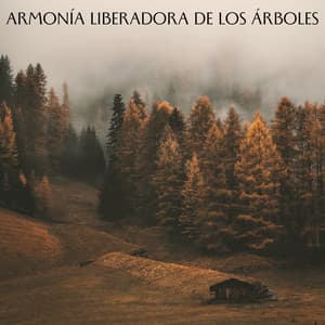 Armonía Liberadora De Los Árboles - Bosque Tropical
