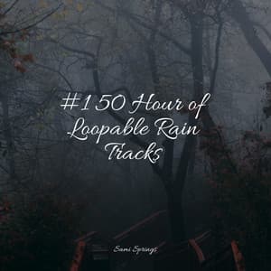 #1 50 Hour of Loopable Rain Tracks - Rain Man Sounds