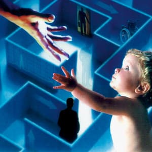 Hearts and Minds - John Fiddy