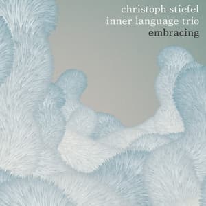 Embracing - Christoph Stiefel
