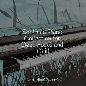Soothing Piano Collection for Deep Focus and Chill - Ivory Mood