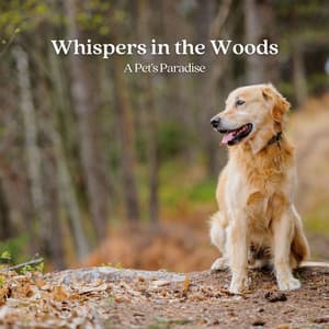 Whispers in the Woods: A Pet's Paradise - Natural Woodland Sounds