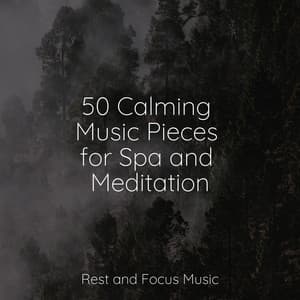 50 Calming Music Pieces for Spa and Meditation - Anxiety Relief