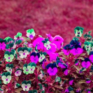 Wondrous Background for Courageous Journey - Light Jazz Playlist