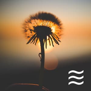 Quiet Song Static White Noise - Static White Noise Sounds