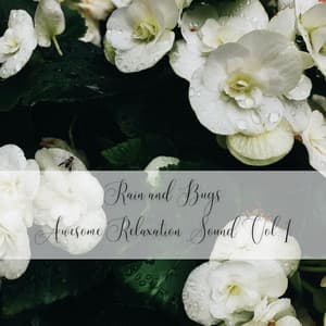 Rain and Bugs Awesome Relaxation Sound Vol. 1 - The Sound Of The Rain