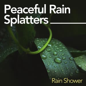 Peaceful Rain Splatters - Rain Shower