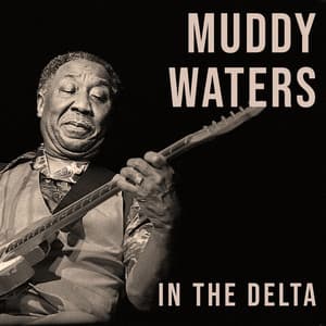 IN THE DELTA - Muddy Waters
