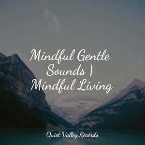 Mindful Gentle Sounds | Mindful Living - Sleep Recording Sounds