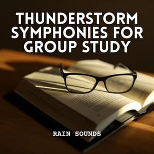 Rain Sounds: Thunderstorm Symphonies for Group Study - Olivia Rain