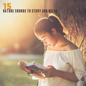 15 Nature Sounds to Study and Relax for Restless and Hyperactive Minds - Mothers Nature Music Academy