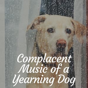 Complacent Music of a Yearning Dog - Calming for Dogs